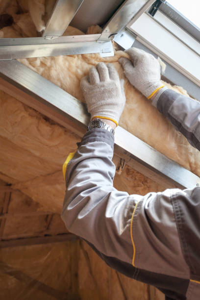 Professional Insulation Installation & Removal in Orange, TX